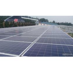 金鼎盛世 以服務至上的理念，引領太陽能發電行業新篇章