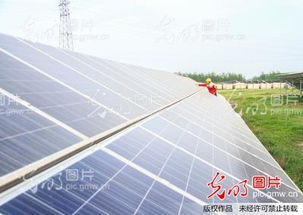 陽光點亮鄉村 江蘇徐州光伏發電站助力鄉村振興